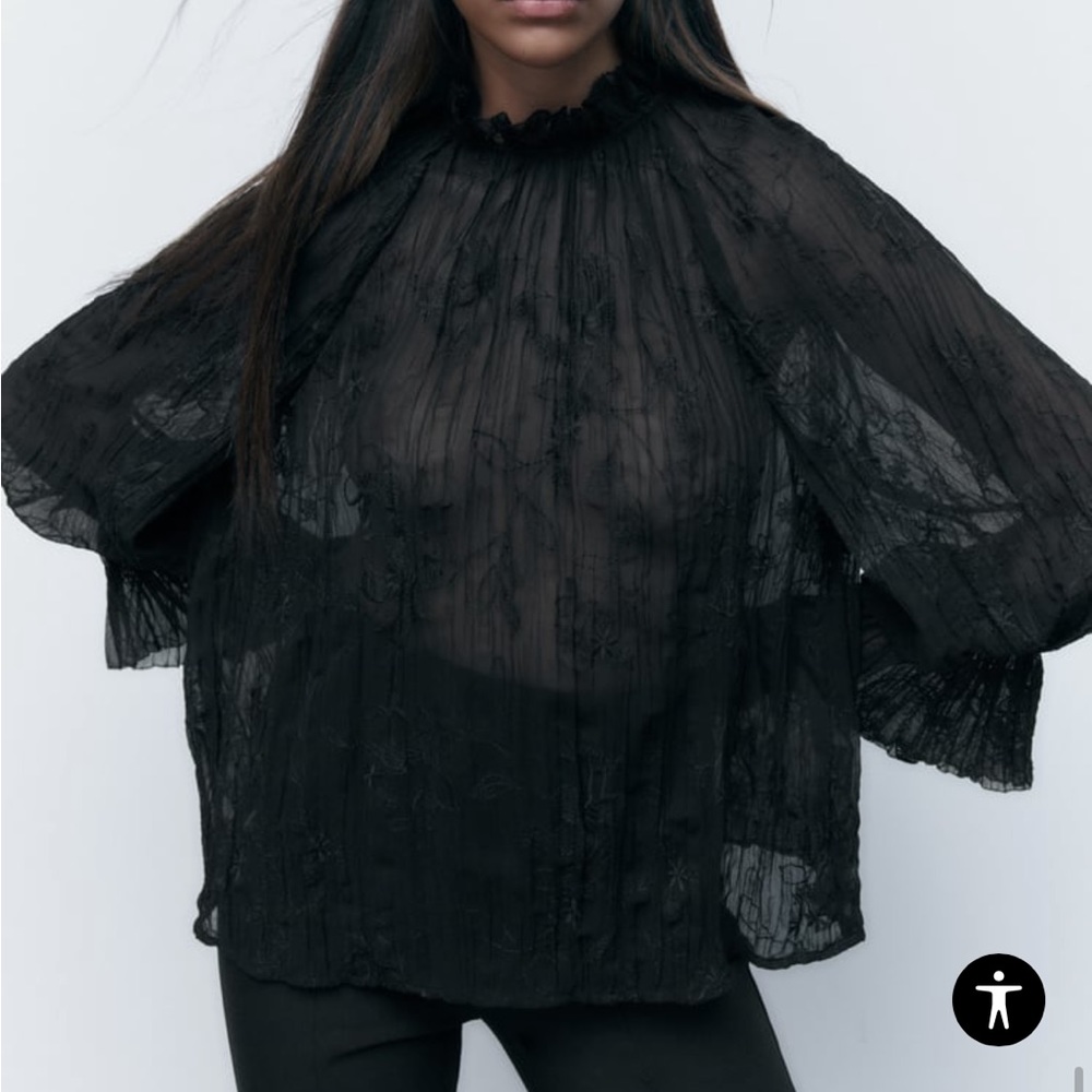 Zara embroidered sheer top